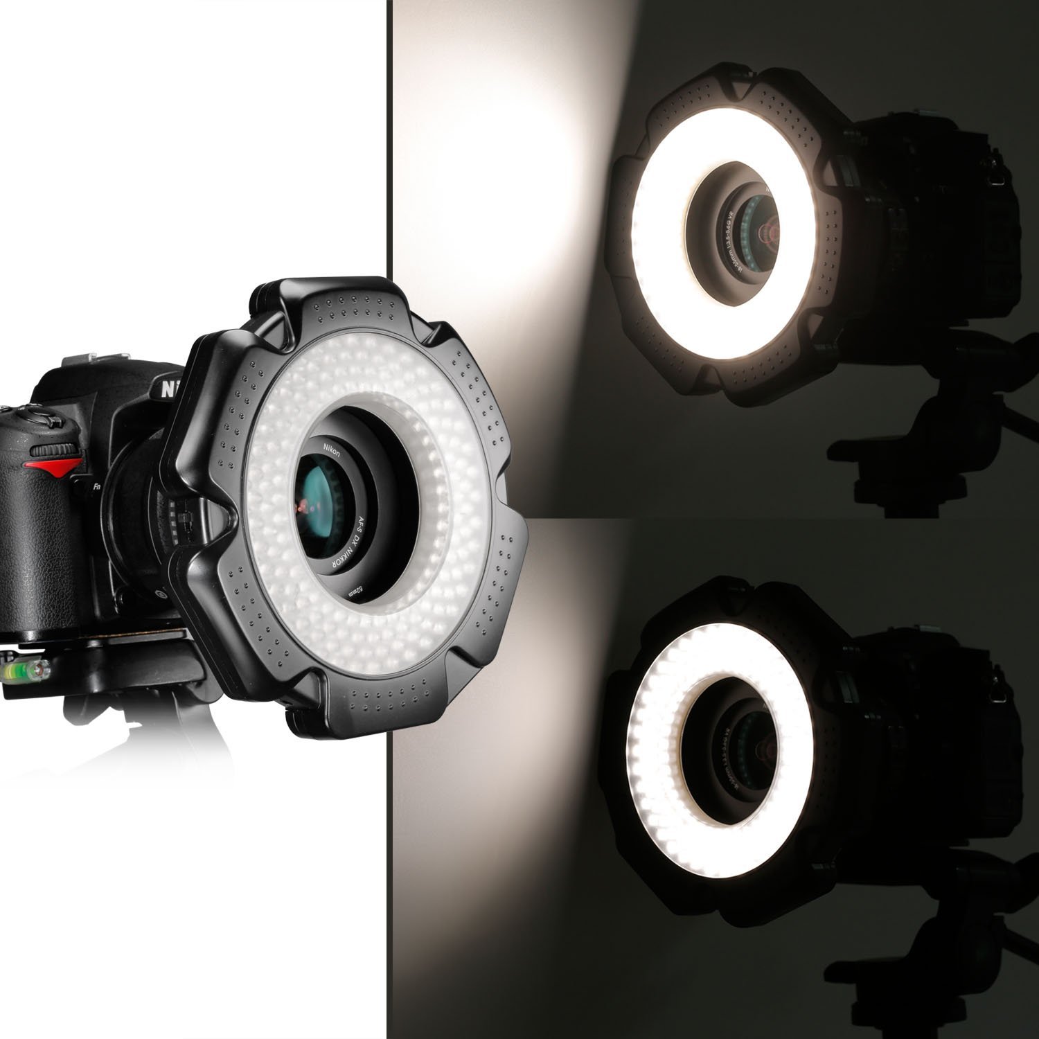 R10B.jpg