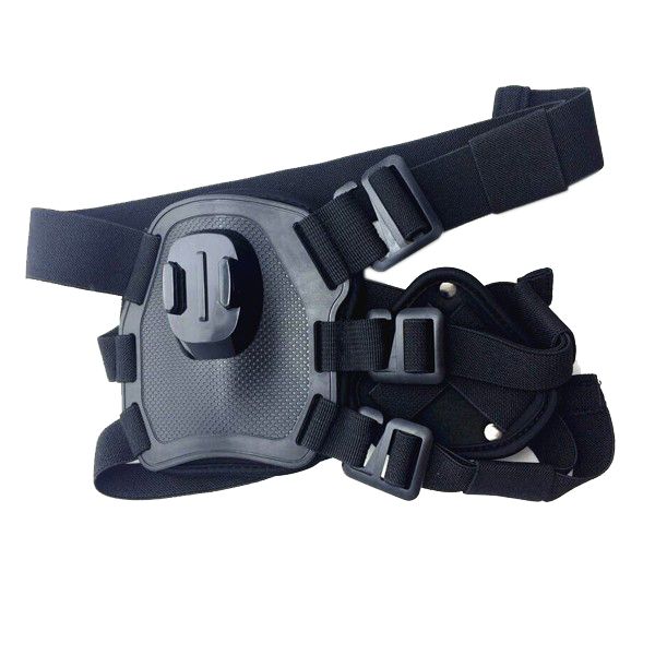 goprodog3.jpg